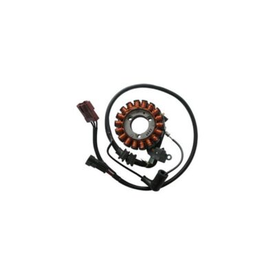Statore Motore Piaggio 250 a Carburatore - 168001-0