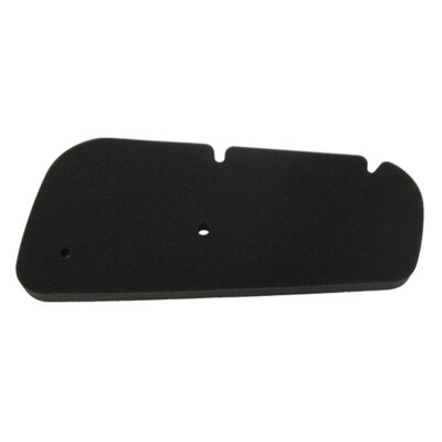 Filtro Aria Meiwa Honda Pantheon 150 2t - 264406-0