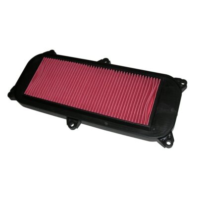 Filtro Aria Meiwa Kymco Xciting 300 R i.e. - 264462-0