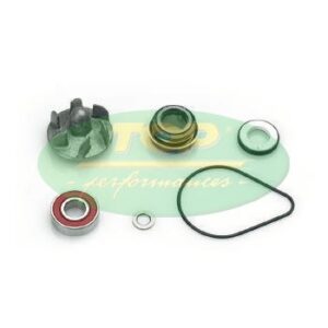 Kit Revisione Pompa H2O Honda Pantheon 150 2t - AA00812-0