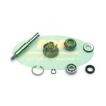 Kit Revisione Pompa H2O Honda Sh 150 - AA00813-0