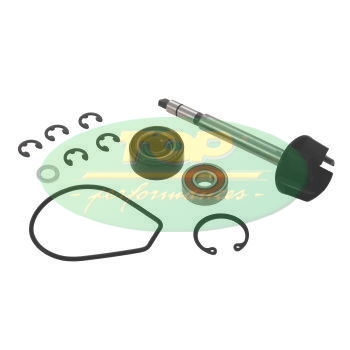 Kit Revisione Pompa H2O Yamaha Majesty 400 - AA00818-0