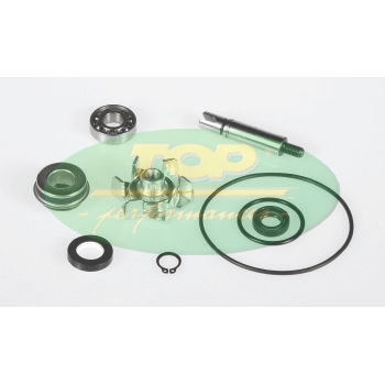 AA00820 - Kit Revisione Pompa H2O Yamaha T-Max 500-0