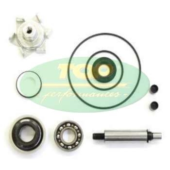 Kit Revisione Pompa H2O Honda Sh 150 Abs - AA00834-0