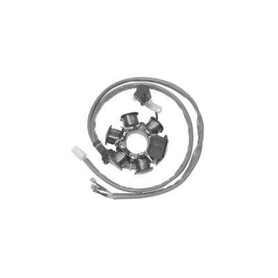 Statore Motore Piaggio 50 2t - 1630307-0