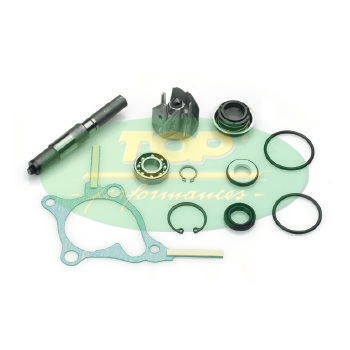 Kit Revisione Pompa H2O Honda Foresight 250 - AA00814-0