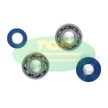 Kit Revisione Banco Scooter Piaggio 50 - KK01003-0