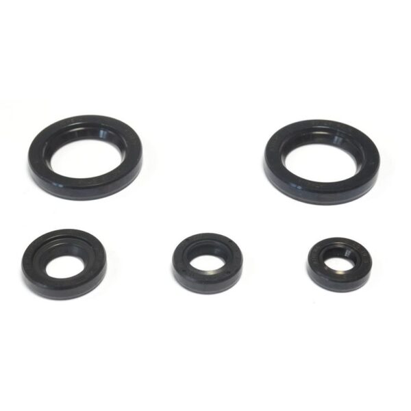 Paraolio 44x75x6 - Athena M730903395200-0