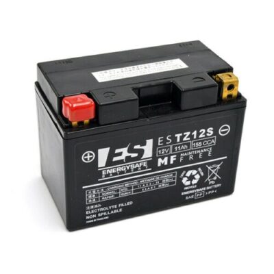 Batteria EnergySafe ESTZ12S-0