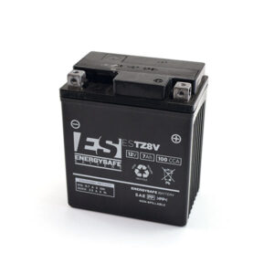 Batteria EnergySafe ESTZ 8V Sigillata - SKU 0680081
