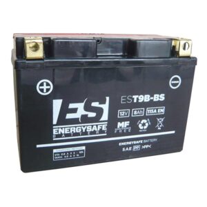 Batteria EnergySafe EST9B-BS