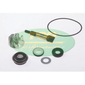 Kit Revisione Pompa H2O Honda Sh 300 - AA00822